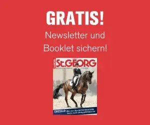 stgeorg_newsletter_booklet